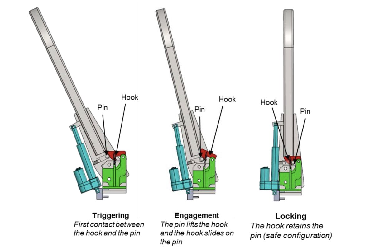 Frops dettaglio gattamelata pessina app 2 ottobre 25.jpeg